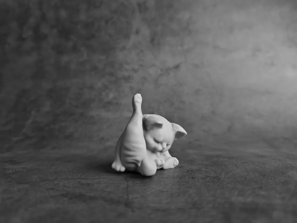 Temizlenen Kedi Anahtarlık | 7 CM