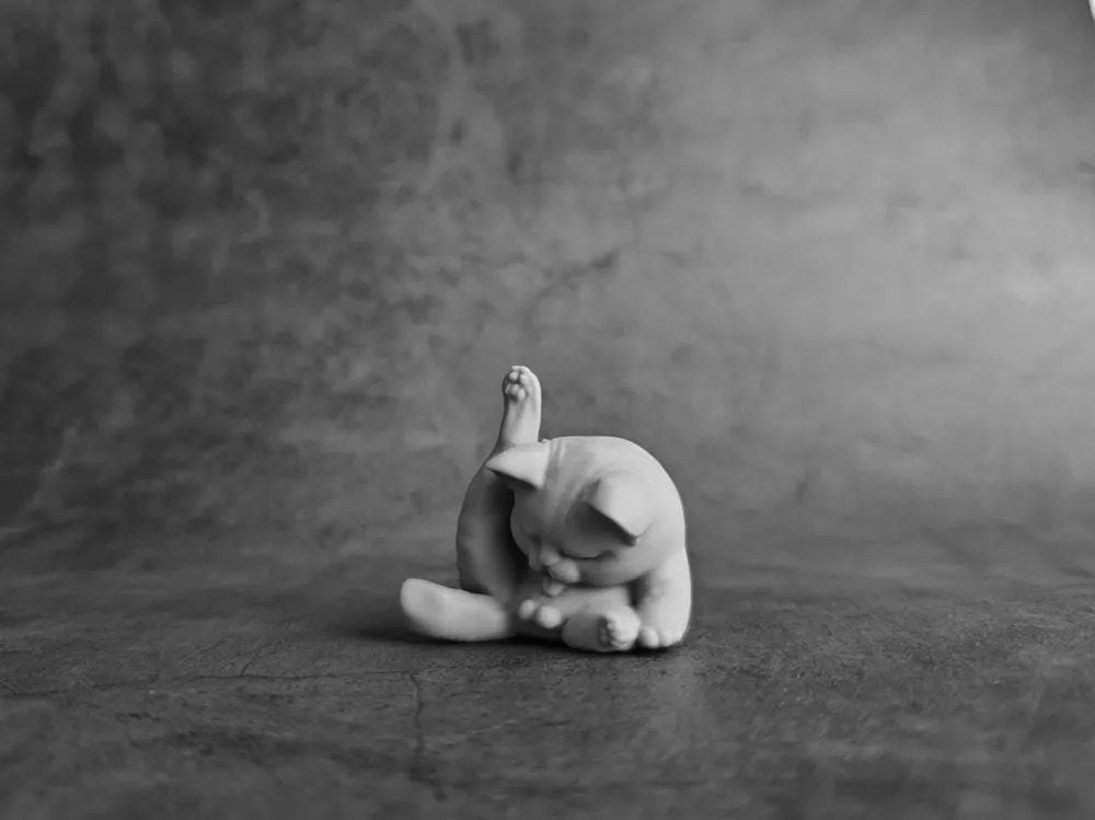 Temizlenen Kedi Biblosu Mini Boy | 7 CM