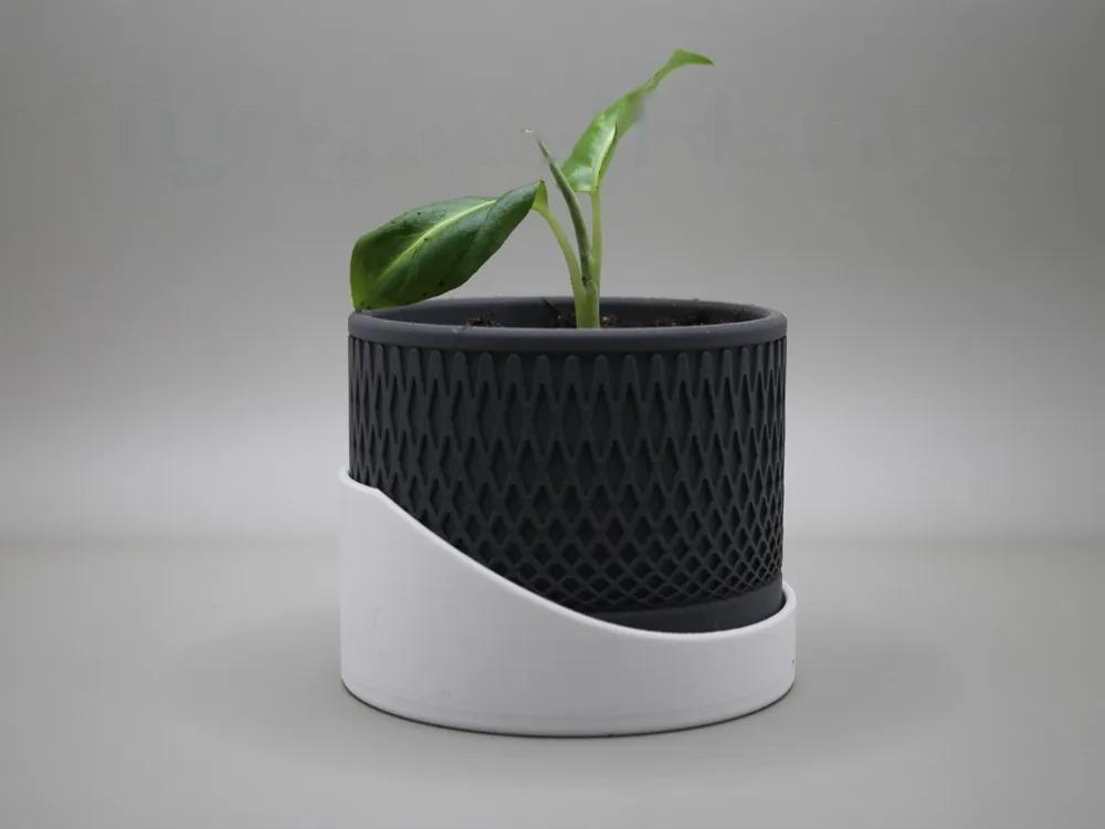 Tyrande Dekoratif Saksı